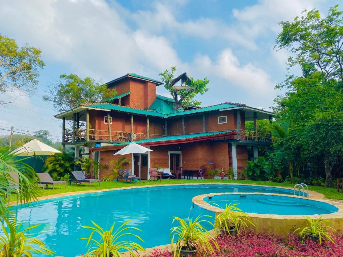 Sigiri Heritage Villa 시기리야 외부 사진